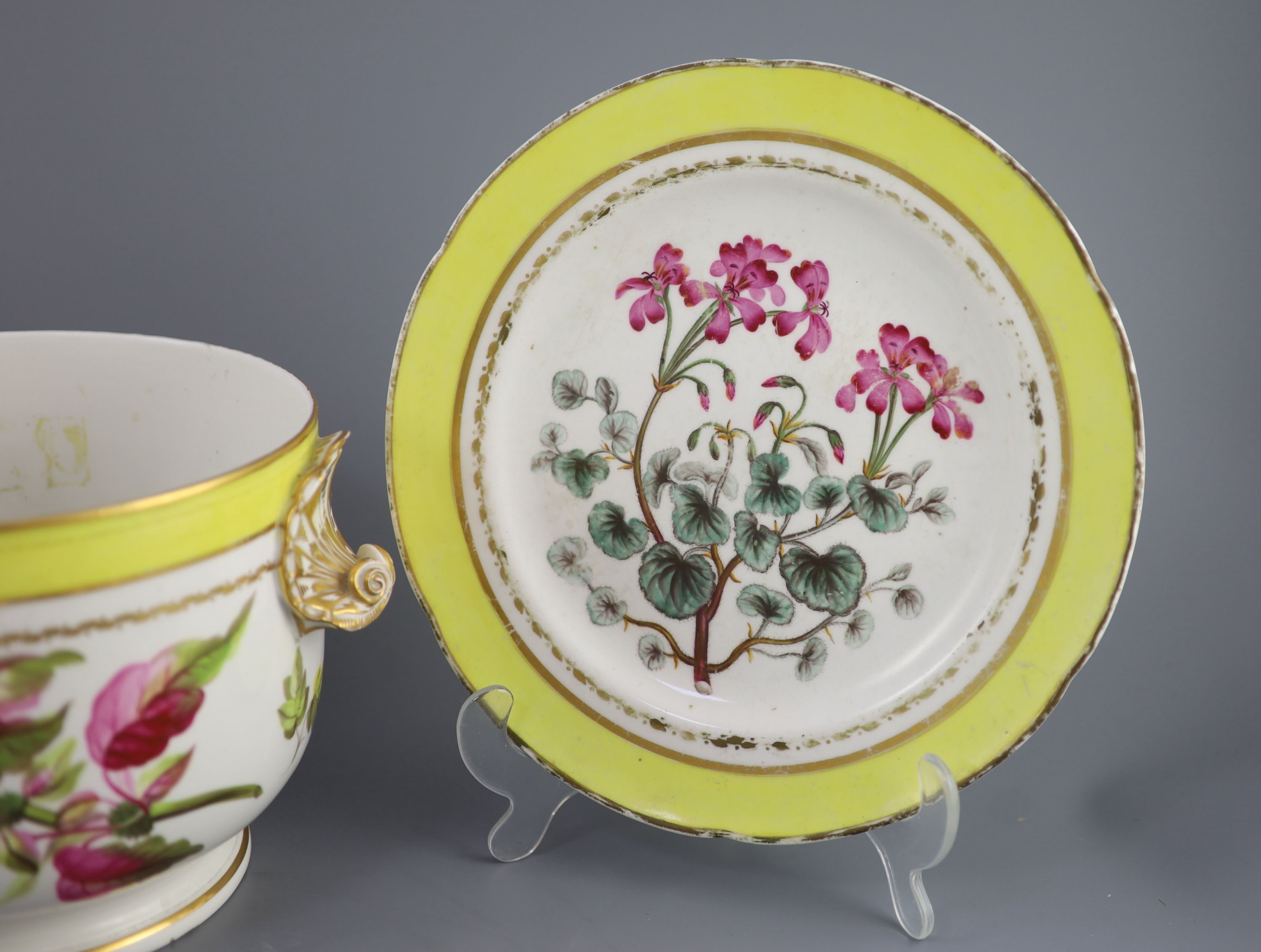 A group of Derby yellow ground botanical dessert and dinner wares, c.1790-1810